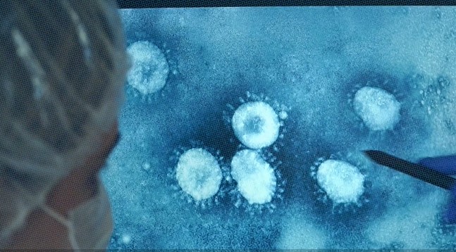 Bird Flu Is Now Infecting More and More Mammals – Are We Safe?