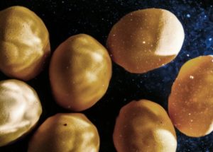 Are Eggs Good for Your Heart Health?