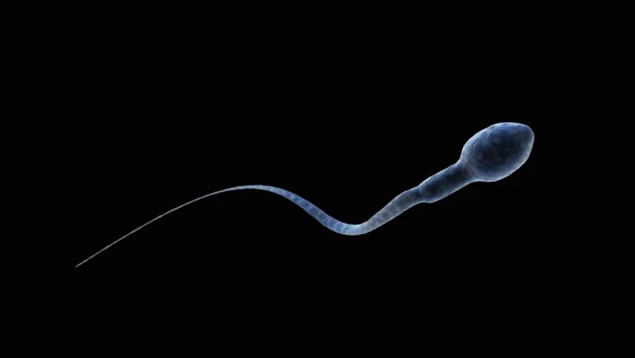 Preliminary Study Proves New Male Birth Control Drug Is Effective in Preventing Pregnancies