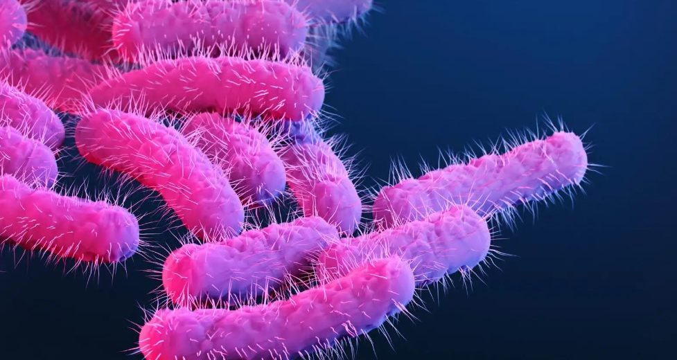 Severe Diarrhea-Causing Illness Outbreak Affects Hundreds of Cape Verde Tourists