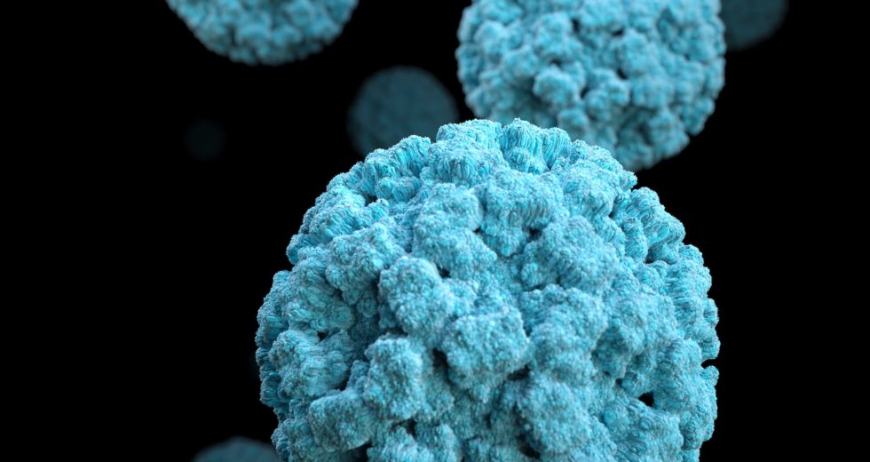 A New Pandemic? What Is The Norovirus?