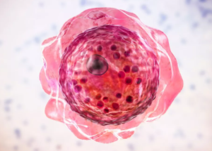 Deadly Brain Eating Amoeba Infection Can Be Treated Using This Old UTI Drug!