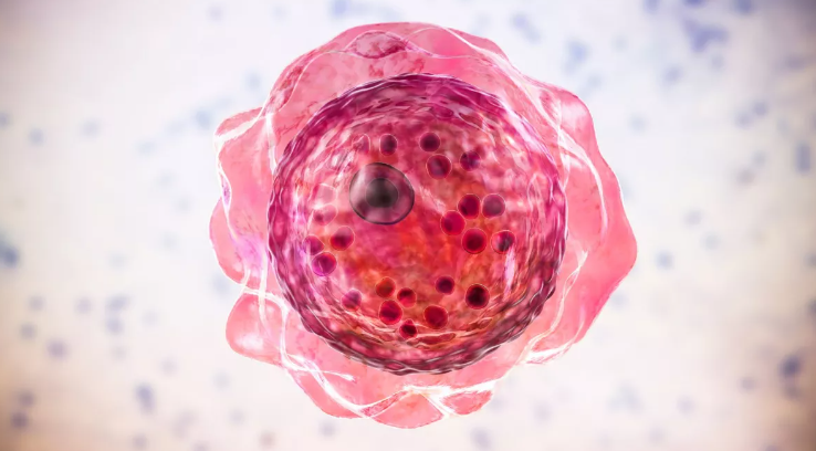 Deadly Brain Eating Amoeba Infection Can Be Treated Using This Old UTI Drug!