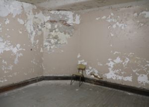 How to Get Rid of Mold Forming in Your House