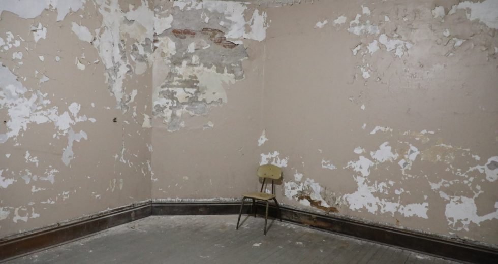 How to Get Rid of Mold Forming in Your House