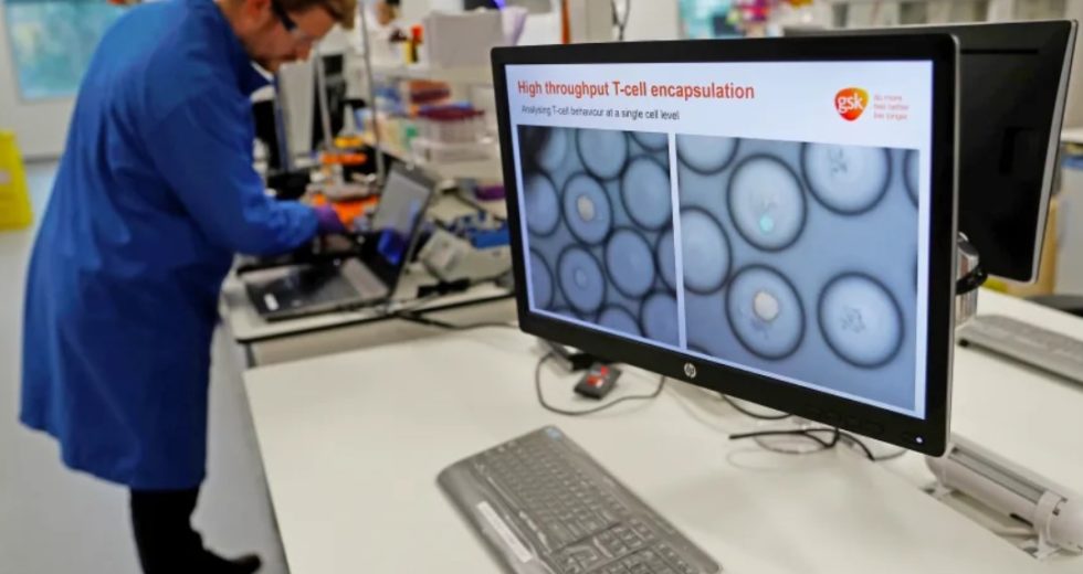 Cancer-Fighting Bacteria Engineered by Scientists