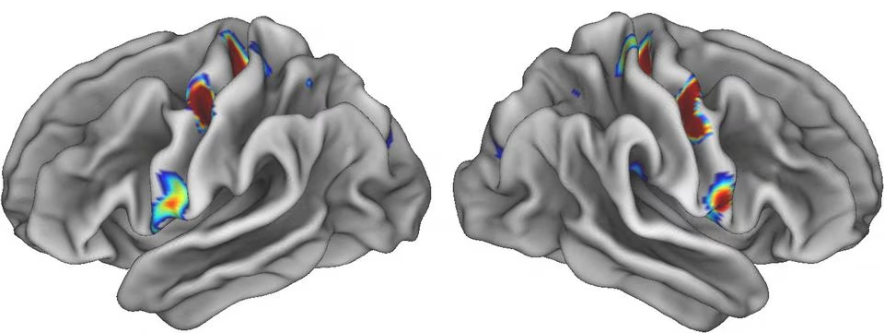 New Study Discovers Mind-Body Nexus in the Human Brain