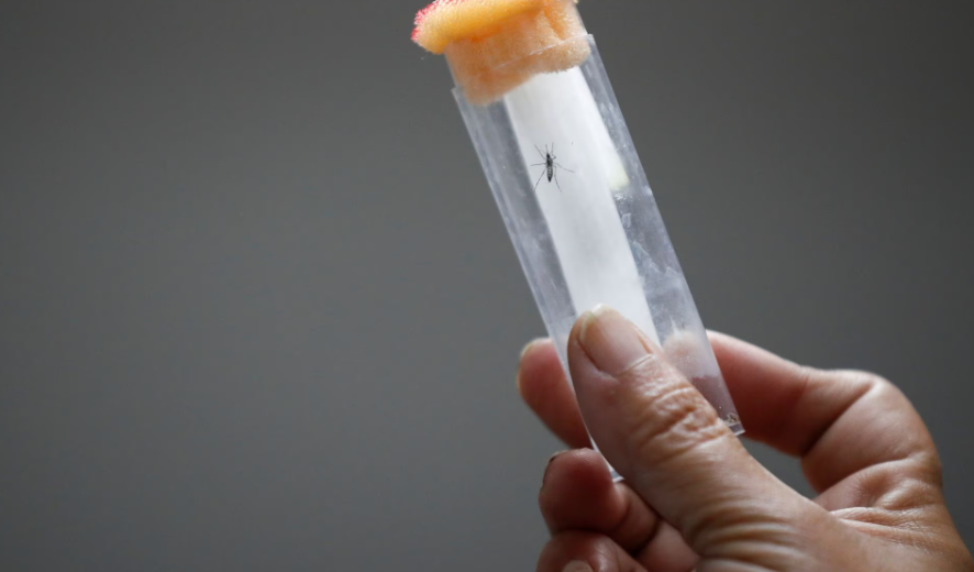 Atomic Radiation Used to Fight Scary Dengue Outbreak in Argentina