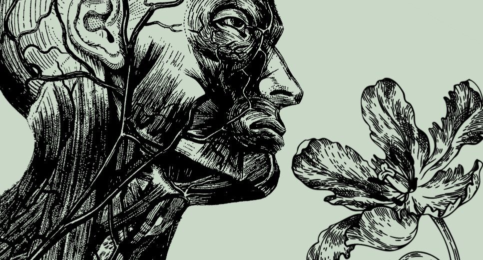 Allergy Seasons Are Getting Longer and More Intense – Here’s Why!