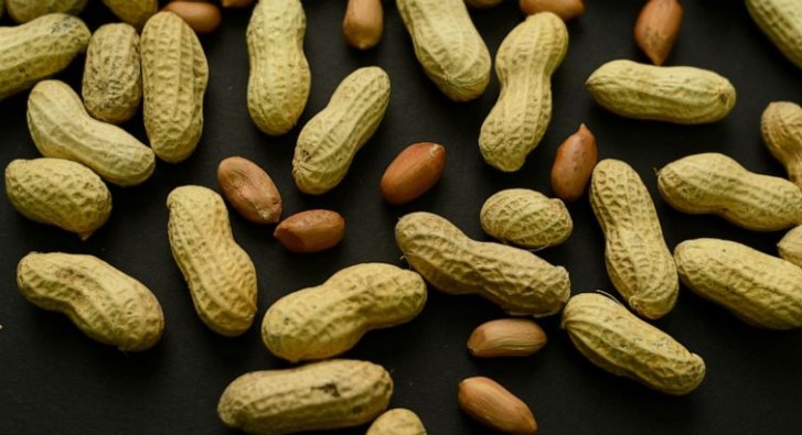Promising Skin Patch May Be Able to Treat Peanut Allergies, Study Shows!