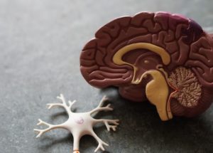 3 Common Ailments That Affect Older People (& How to Reduce the Risk of Developing Them)