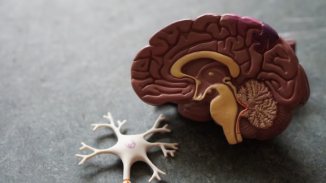 3 Common Ailments That Affect Older People (& How to Reduce the Risk of Developing Them)
