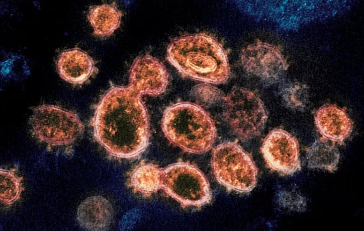 Ohio Local Has Been Shedding Unique COVID Strain into the Sewers and Expert Is Trying to Find Them on Twitter!