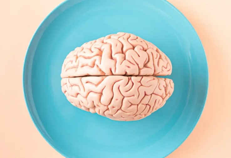 Bilinguals Enjoy Certain Neurological Benefits, Study Finds