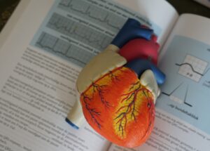 Hypertrophic vs. Dilated Cardiomyopathy – Facts and Symptoms You Should Know About