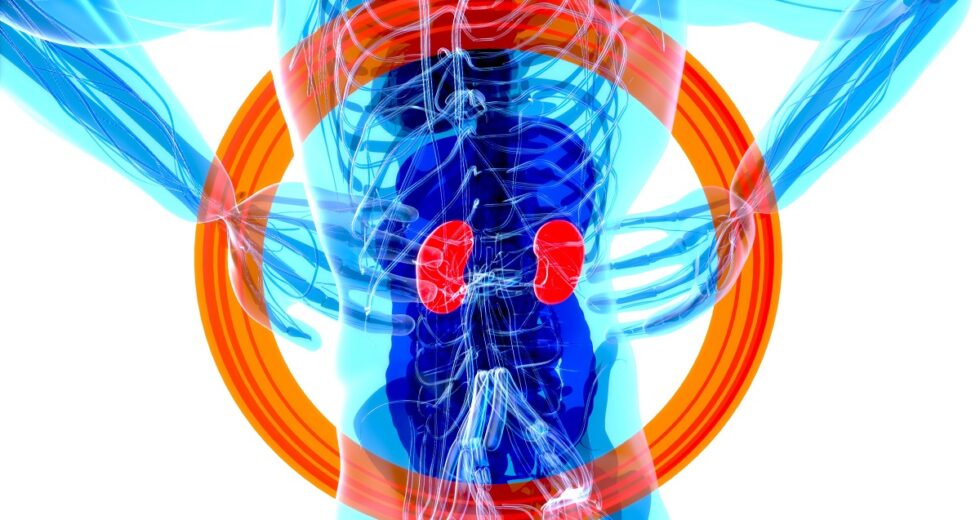 New Treatment For Hyperkalemia and Other Options That Seem Efficient Disclosed