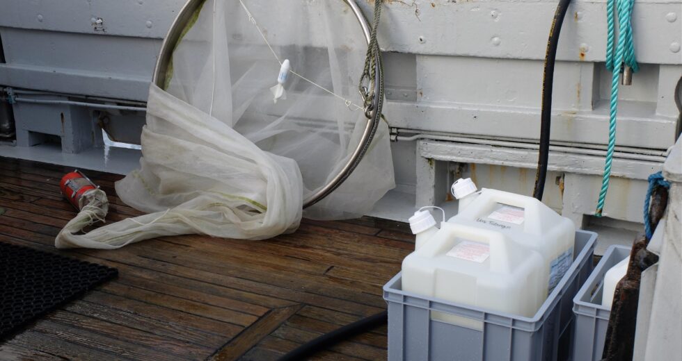 Biosurfactants Are Said to Be Useful in Controlling the Oil Spills, New Research Explains