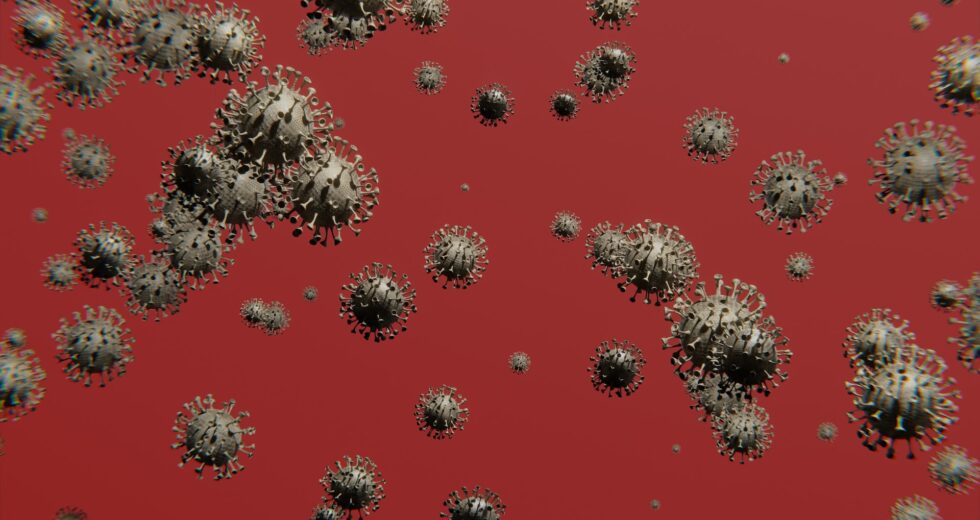 Specific Creatures Feed Microbes to Their Offspring