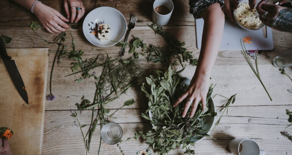 Xiao Yao San: the Traditional Chinese Medicine That’s Truly Incredible