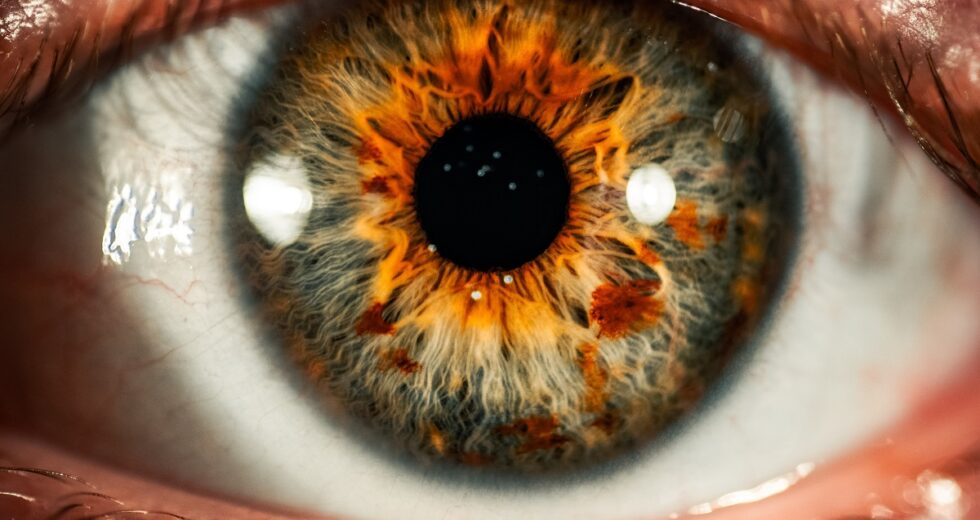 Should You Worry About Eye Herpes? Signs, Symptoms, and More Details Disclosed