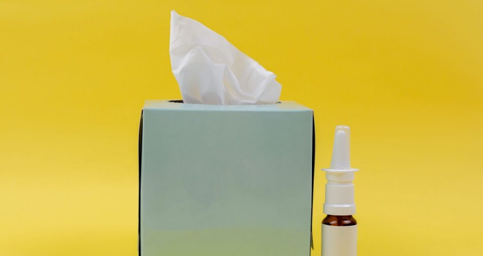 3 Best Antihistamines to Treat Your Allergies Efficiently