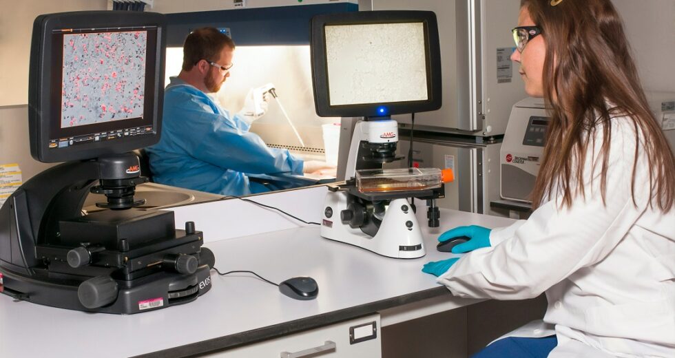 What Type of Cancer is Nodular Melanoma? Key Facts and Possible Treatment