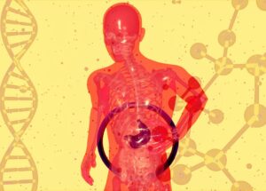 What is a FibroScan and Why You Should Do One? Keeping Your Liver Healthy is Key