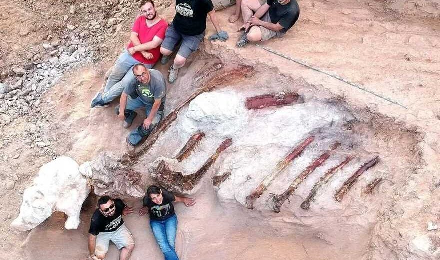 82-Foot-Long Dinosaur Found by Man in His Backyard