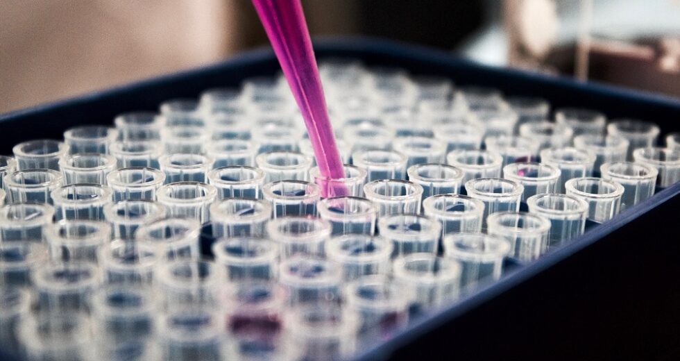 Ozempic, Wegovy, and Mounjaro Are Raising Some Eyebrows