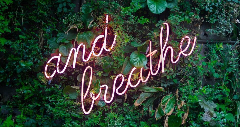 Get Rid of Bad Breath With These Remedies