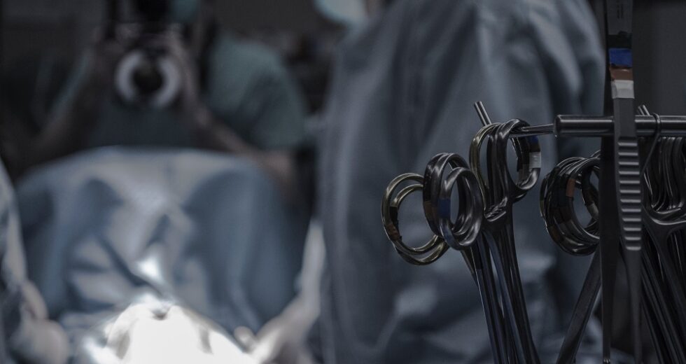 New Experimental Antibody Believed to Prevent Organ Rejection; Possible ALS Treatment