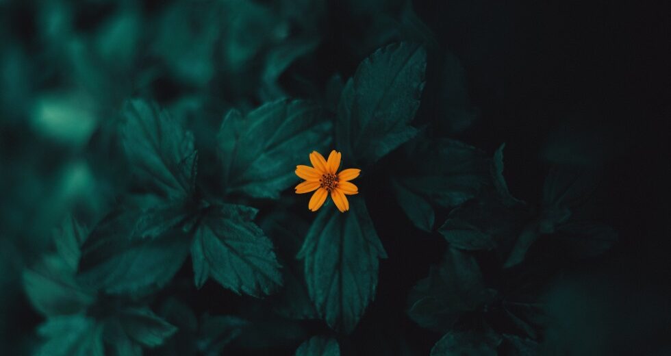 Vital Vitamin B12 Deficiency Has Mind-Blowing Symptoms Similar To Severe Health Issues