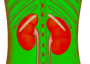 Ureaplasma: What Are the Symptoms and Causes?