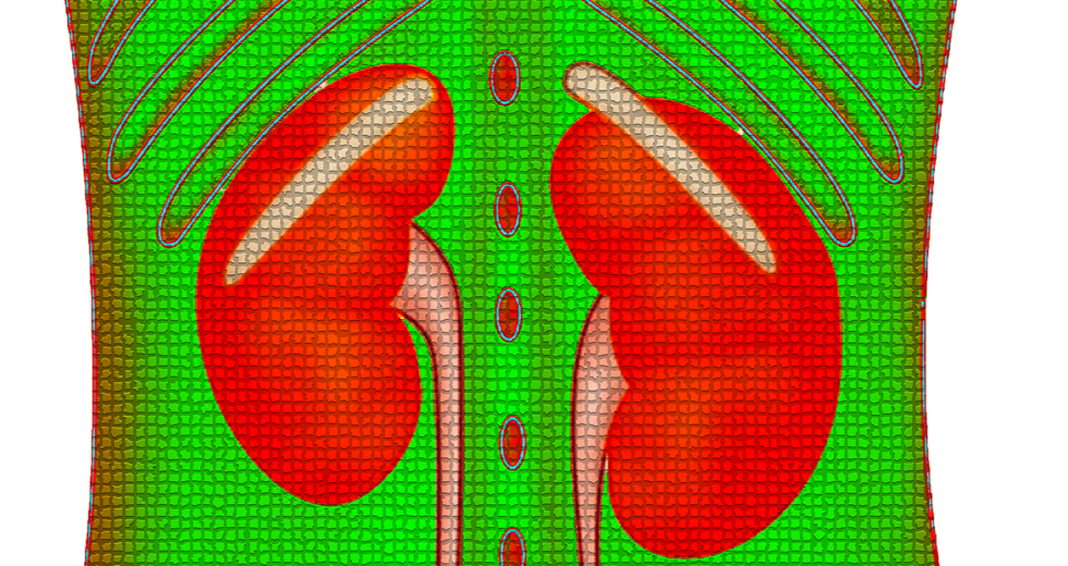 Ureaplasma: What Are the Symptoms and Causes?