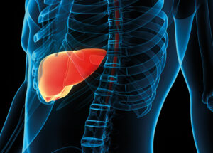Helping The Liver Regenerate: Exceptional Self-Healing Powers
