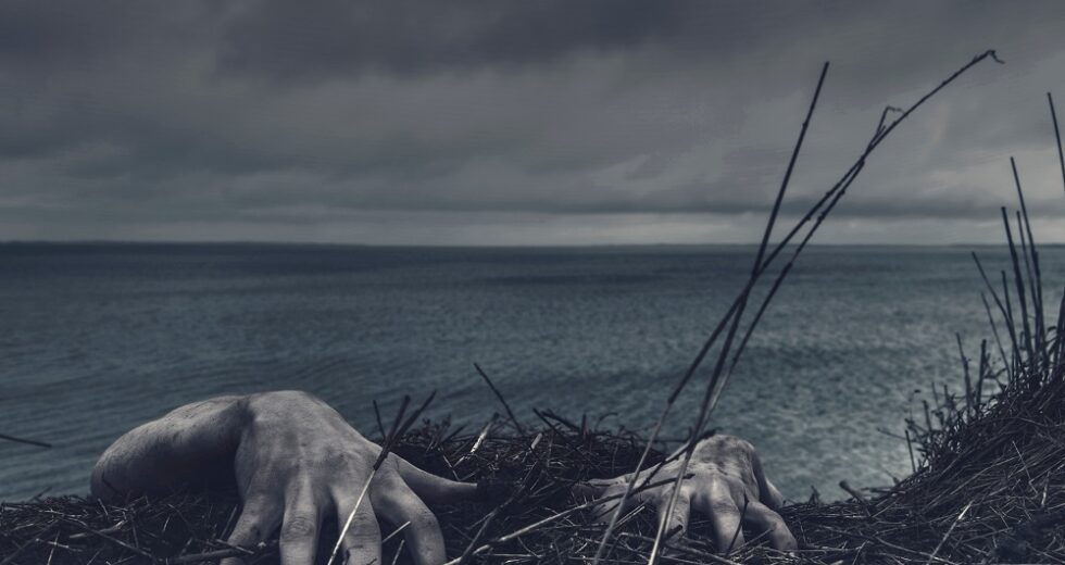 How Zombies Can Predict Our Future; New Research Emerges