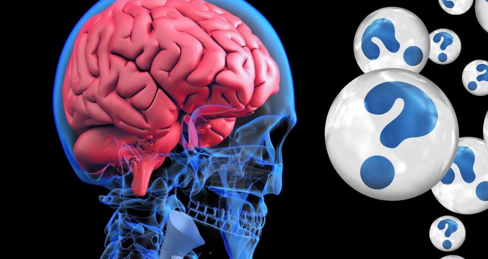 How Long Does It Take For The Brain To Recover Following Alcohol Use
