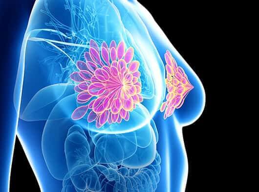 Triple Negative Breast Cancer: Nanobiotechnology-Mediated Radioimmunotherapy