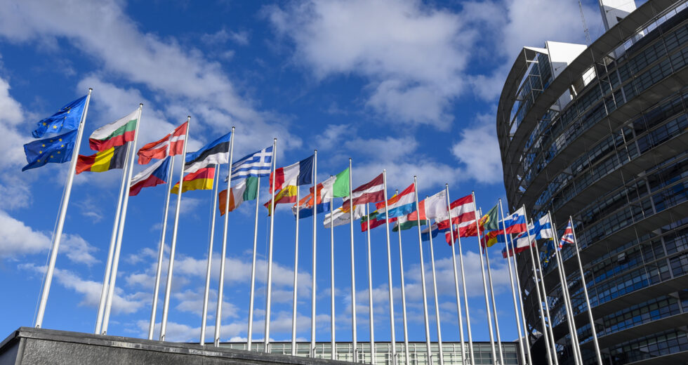 The European Parliament Tells Us They Are Undergoing A “Soft Coup Under the Pretext of Pandemic Preparedness and the Biosecurity Agenda”