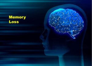Neurologists Discover Brain Area Shrinking Is Related To Memory Loss