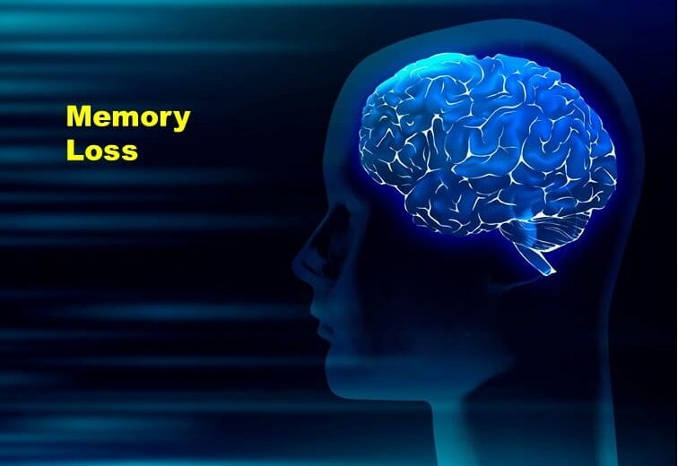 Neurologists Discover Brain Area Shrinking Is Related To Memory Loss
