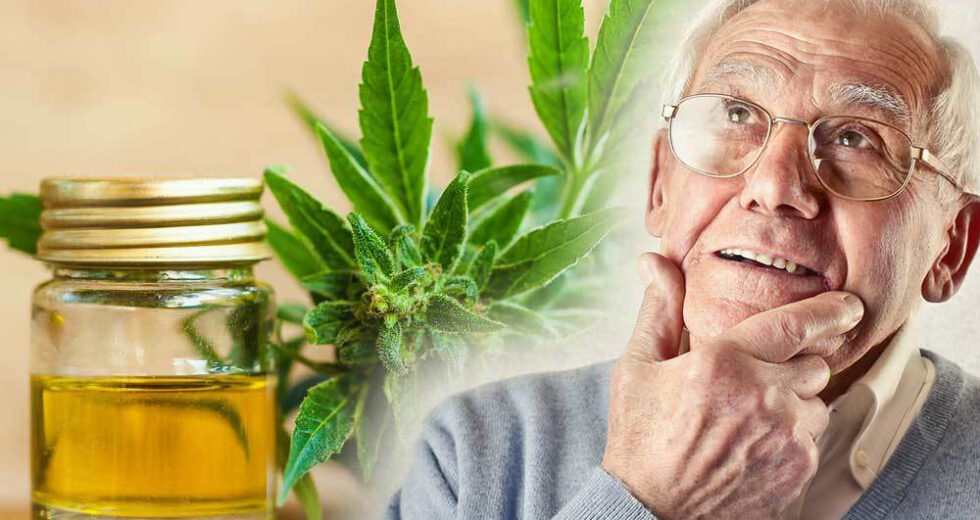 Cannabis Compounds Remove Alzheimer’s Proteins From the Brain