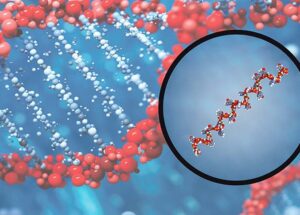 MicroRNA, King Regulator Of the Genome – How To Harness Its Gene-Controlling Ways
