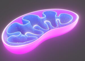 Breaking: ‘Mitochondrial Dysfunction’ Is Not Dysfunction