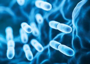 Microbes Could Help Keto Diet’s Protection Against Epileptic Seizures