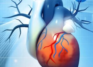 Experts Create A Mind-Blowing Biorobotic Heart