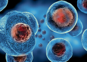 Secret Of Creating Blood Stem Cells Is Hidden In Our Own Blood