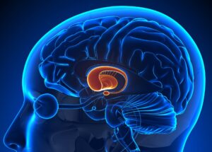 Skin Biopsy Could Detect Parkinson’s Disease