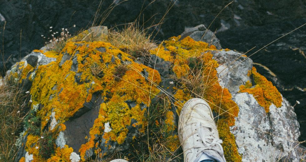 How to Defeat Your Fear of Heights: Top Strategies to Use