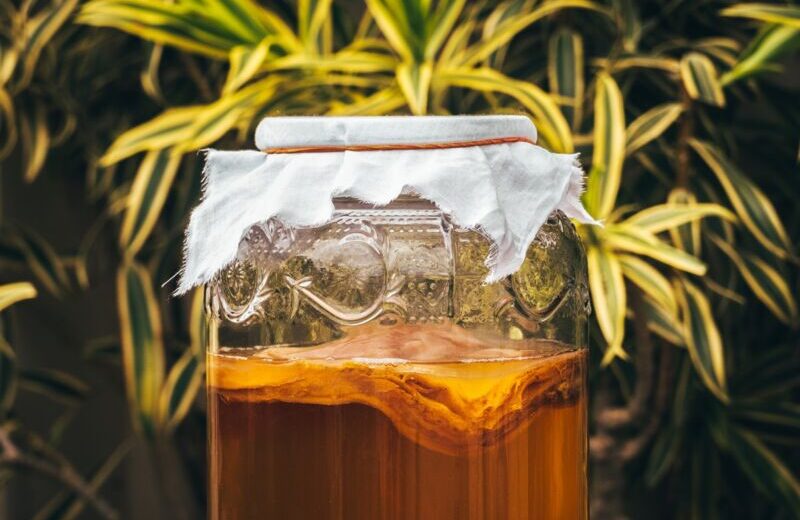 Kombucha Has Fat-Burning Potential, New Study Shows